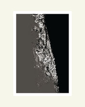 Load image into Gallery viewer, Birch bark abstract - Black and White Archival Print
