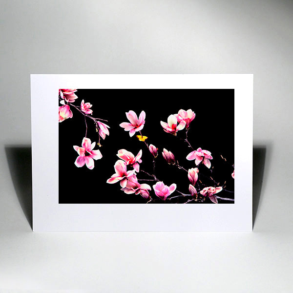 Magnolia and Butterfly - Art Cards