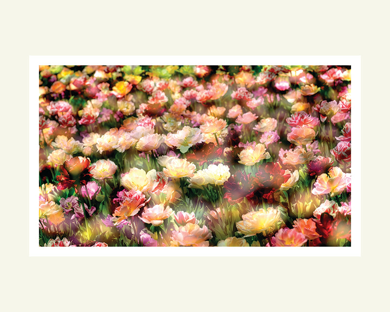 Spring mix - Matted Archival Print
