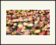 Load image into Gallery viewer, Spring mix - Matted Archival Print
