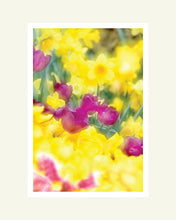Load image into Gallery viewer, Spring Glory - Matted Archival Print
