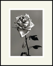 Load image into Gallery viewer, Valentine Rose  - Black and White Archival Print
