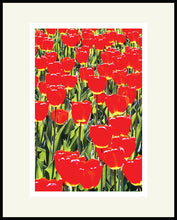 Load image into Gallery viewer, Red Tulip Bed- Matted Archival Print
