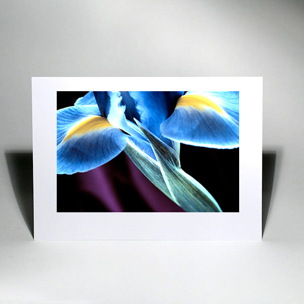 Signature Iris- Art Cards